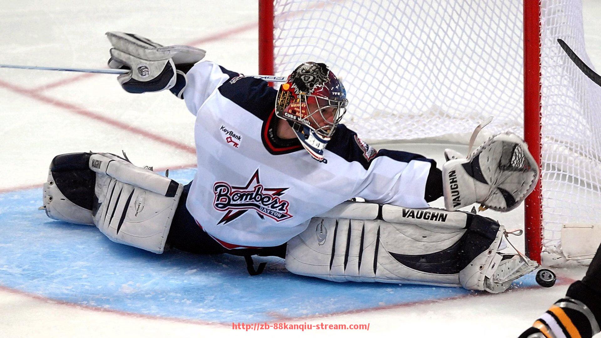 88看球网-法甲球员国籍分布及多样性研究